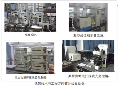 低碳技術(shù)與工程 技術(shù)服務(wù)與技術(shù)轉(zhuǎn)讓的雙輪驅(qū)動